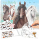 Depesche - miss melody paardenkleurboek
