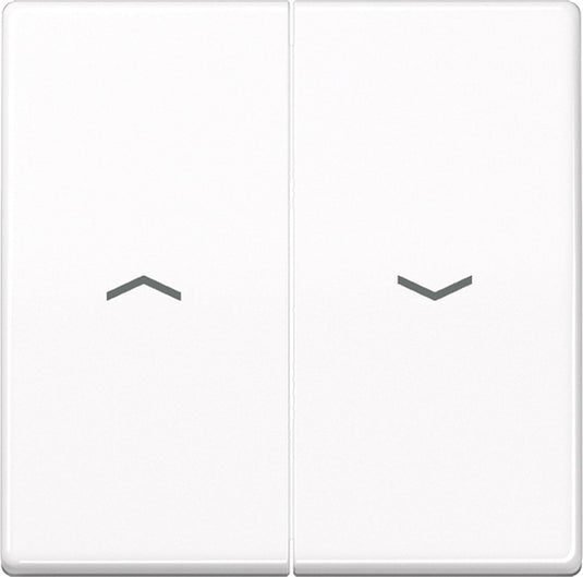 Jung as500 schakelelement centrale plaat - as591-5pww - e32r4
