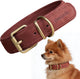 Peluvio rexor – leren hondenhalsband – bruin – xs-s 26,5-31 cm – 2,5 cm breed – verstelbare halsband van rundleer – koperen gesp – voor kleine honden en puppy’s