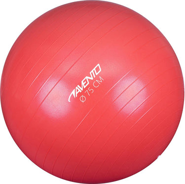 Avento fitness gymbal - ø 75 cm - roze