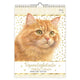Comello verjaardagskalender franciens katten jeroen a4 formaat