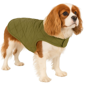 Flamingo hondenjas – bonnie – honden jas – hondenjasjes winter – hondenjas waterdicht – 40 cm – a:40cm b:34-40cm c:54-60cm – groen