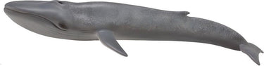 Collecta figurine - blauwe vinvis - (xl) - zeedieren - handgeschilderd - miniatuur