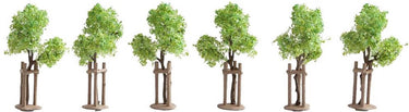 Noch jonge bomen met ondersteuning