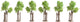 Noch jonge bomen met ondersteuning