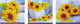 Diamond dotz® diamond dotz dd14.001, originele 5d diamond painting set sunflower days, knutselpakket met 28.144 ronde steentjes, dotz voor volwassenen, hobbypakket ca. 142 x 42 cm voor kinderen vanaf 8 jaar