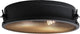 Brilliant zois - plafondlamp - e27 max 2x60w - zwart