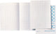 Accountantspapier djois folio a360795