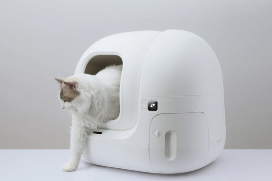 Petkit pura max cat little box