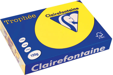 Clairefontaine gekleurd papier geel 120 g 21x29,5 cm - uni