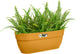 Elho vibia campana easy hanger l 46 - balkonbak met ophanghaken - 100% gerecycled plastic - ø 46.0 x h 26.5 cm - honinggeel