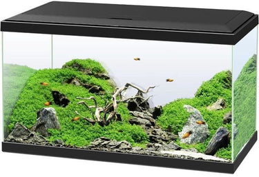 Ciano – emotions pro 60 l – aquariumset – cf80 filter – led 50w