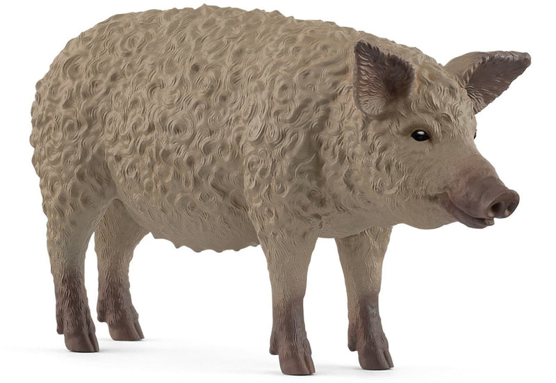 Afbeelding laden in galerijviewer, Schleich farm world - wolvarken - 14892
