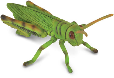 Collecta figurine - sprinkhaan - (m) - insecten - handgeschilderd - miniatuur