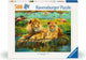 Ravensburger lions in the savannah - 500 pieces.