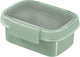 Curver smart to go eco snackbox - 0,2l - groen