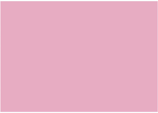 Creativ company eva foam vellen roze a4, 10st.