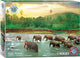 Eurographics - red de planeet! regenbos [save the planet! rain forest] - 1000 stukjes 68×48cm (b×h) - legpuzzel