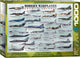 Eurographics - mederne oorlogsvliegtuigen [modern warplanes] - 1000 stukjes 68×48cm (b×h) - legpuzzel