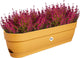 Elho vibia campana balkonbak 70 - plantenbak voor balkon - ø 69.0 x h 17.0 cm - honinggeel