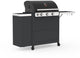 Barbecook gasbarbecue stella 3221