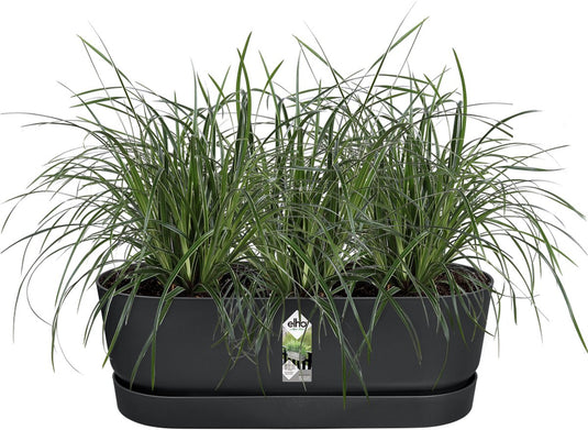 Elho greenville easy balcony 52 - balkonbak met ophanging - 100% gerecycled plastic - l52 x b21.2 x h19.4 cm - living black
