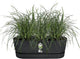 Elho greenville easy balcony 52 - balkonbak met ophanging - 100% gerecycled plastic - l52 x b21.2 x h19.4 cm - living black