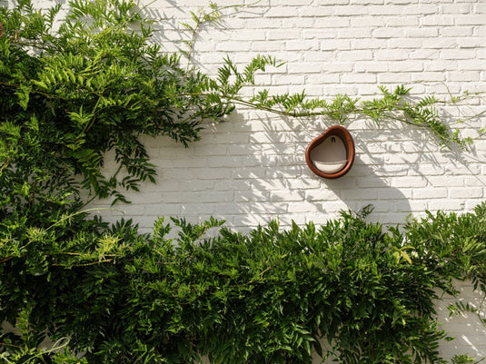 Elho organic bird feeder 25cm - vogelvoederhuisje en vogelbadje - 100% gerecycled plastic - l27.4 x b16.8 x h25.4 cm - kastanje bruin