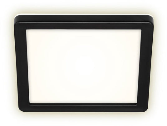 Briloner - buitenwandlamp - zwart