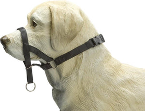 Beeztees dog control - halsband hond - zwart - s