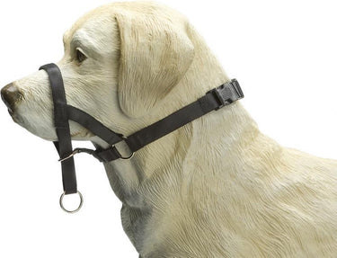 Beeztees dog control - halsband hond - zwart - l