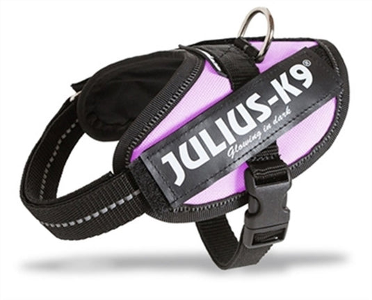 Julius k9 wereld bekende idc powertuig voor tekstlabels roze maat 1