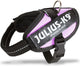 Julius k9 wereld bekende idc powertuig voor tekstlabels roze maat: mini-mini