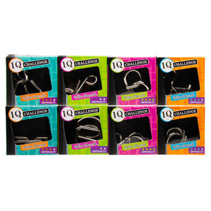 Duckiez metalen iq puzzel
