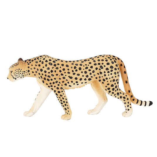Mojo wildlife cheetah man - 387197
