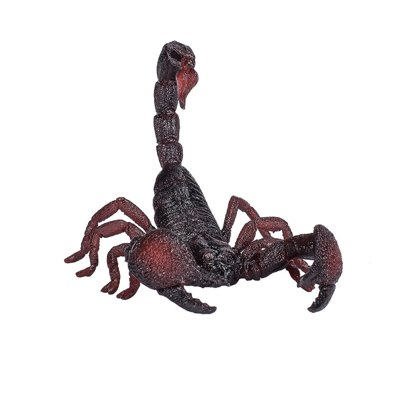 Afbeelding laden in galerijviewer, Mojo wildlife keizer schorpioen - 387133
