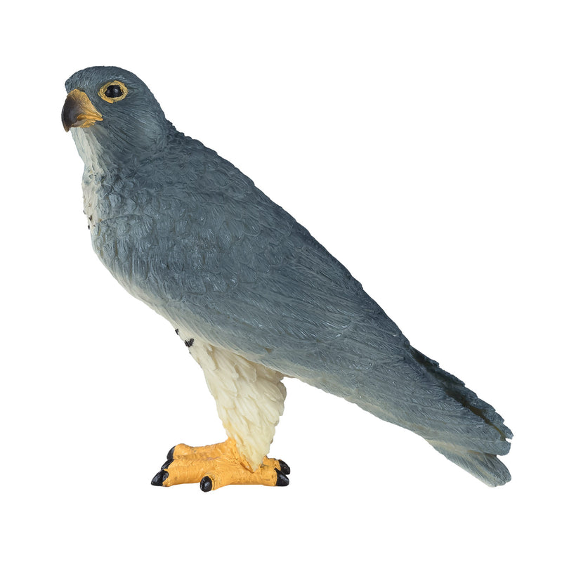 Afbeelding laden in galerijviewer, Mojo wildlife slechtvalk - 381056
