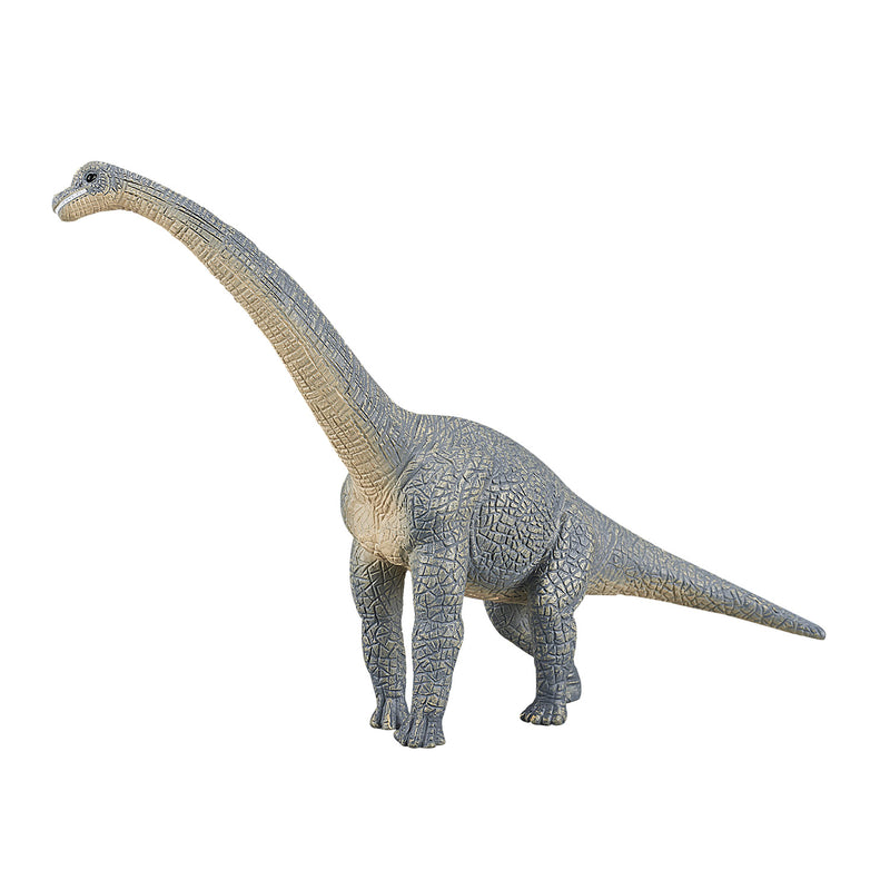 Afbeelding laden in galerijviewer, Mojo prehistorie brachiosaurus - 387044
