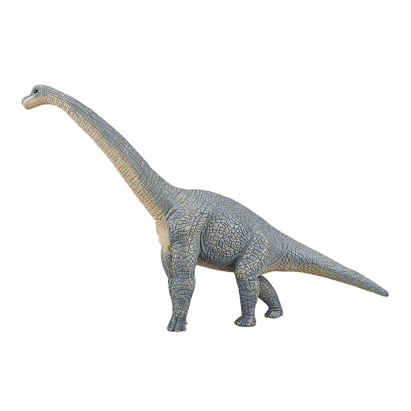 Afbeelding laden in galerijviewer, Mojo prehistorie brachiosaurus - 387044
