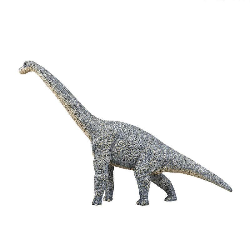 Afbeelding laden in galerijviewer, Mojo prehistorie brachiosaurus - 387044
