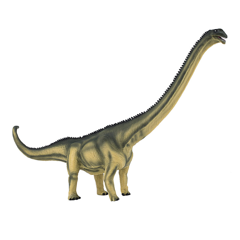 Afbeelding laden in galerijviewer, Mojo prehistorie deluxe mamenchisaurus - 387387
