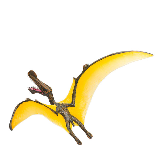 Mojo prehistorie tropeognathus - 387375