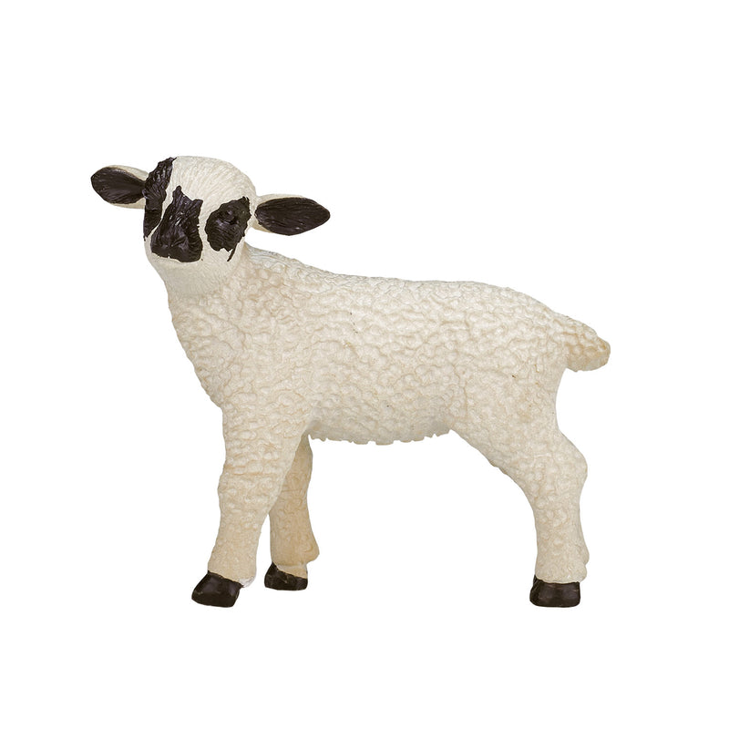 Afbeelding laden in galerijviewer, Mojo farmland zwartkopschaap lam - 387059
