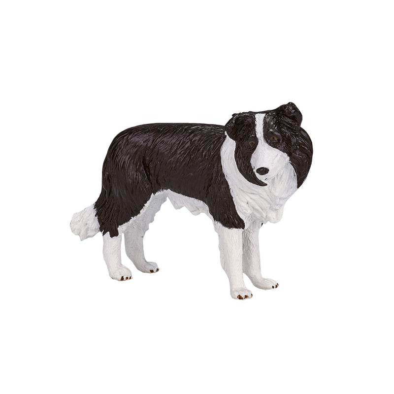 Afbeelding laden in galerijviewer, Mojo farmland border collie - 387203
