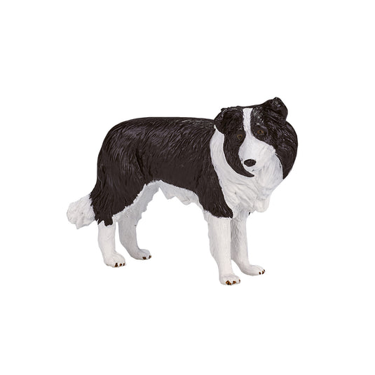 Mojo farmland border collie - 387203