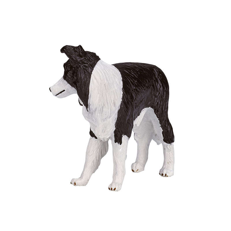Afbeelding laden in galerijviewer, Mojo farmland border collie - 387203

