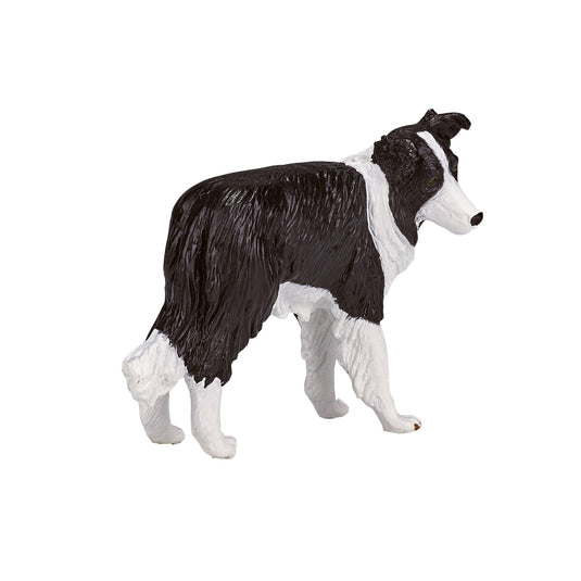 Mojo farmland border collie - 387203