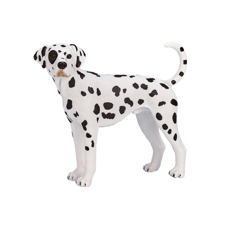 Afbeelding laden in galerijviewer, Mojo farmland dalmatiër - 387248
