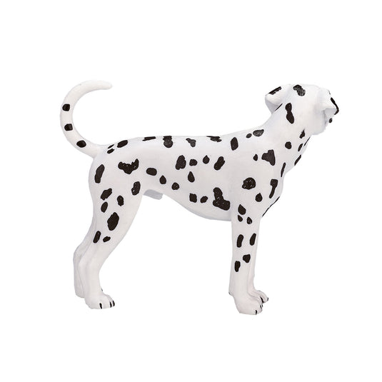 Mojo farmland dalmatiër - 387248