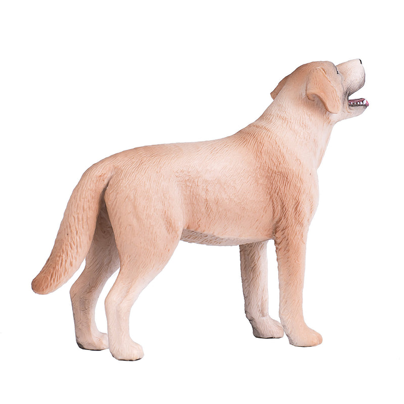 Afbeelding laden in galerijviewer, Mojo farmland labrador - 387271
